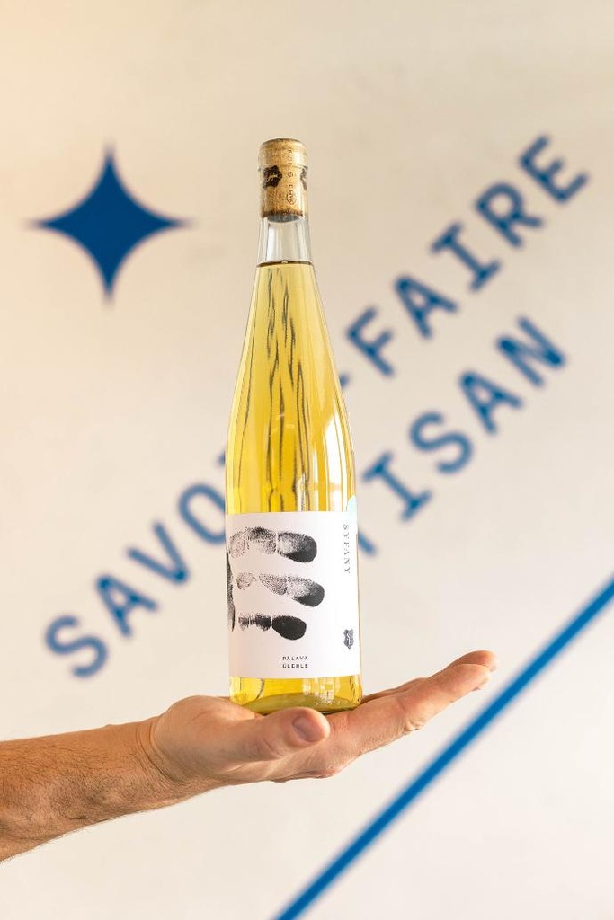 Cosmonat – J.P. Bleeke (copie)